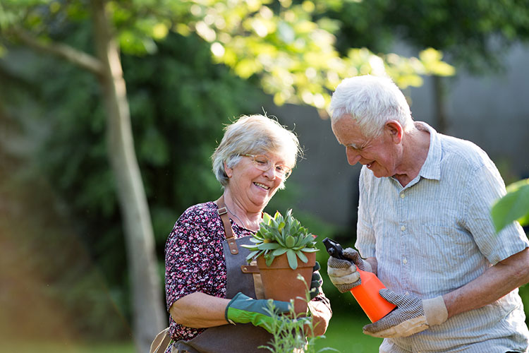 elderly couple gardening