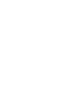 Certfied Financial Advisor